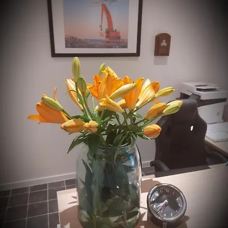 Bed & Breakfast Hope & Anchor